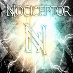Nociceptor : Among Insects